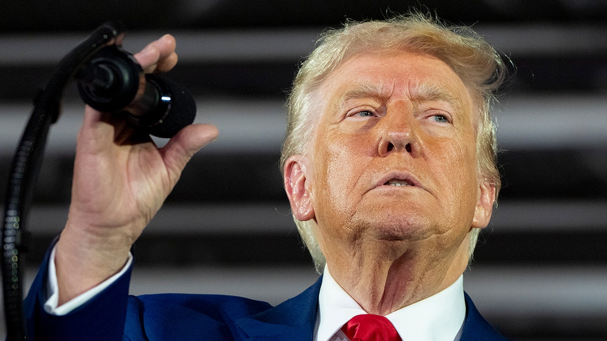 trump michigan 100 days ap25119842924207.jpg