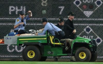 Pirates fan who flipped over wall during game idenitified pirates fan.jpg